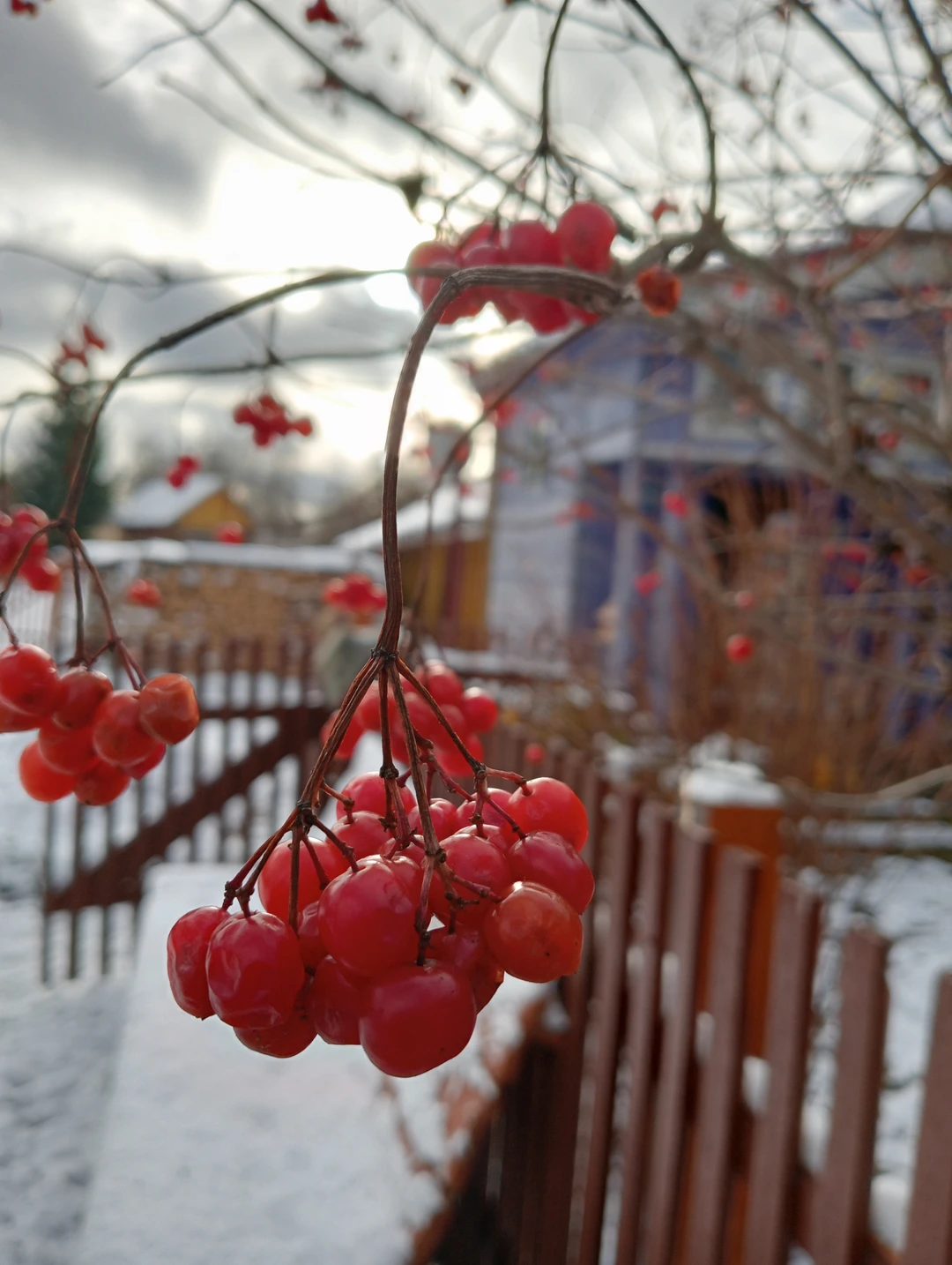 В гости к старообрядцам: обед из печи и мастер-класс у ткачихи (на вашем авто) (Юлия)