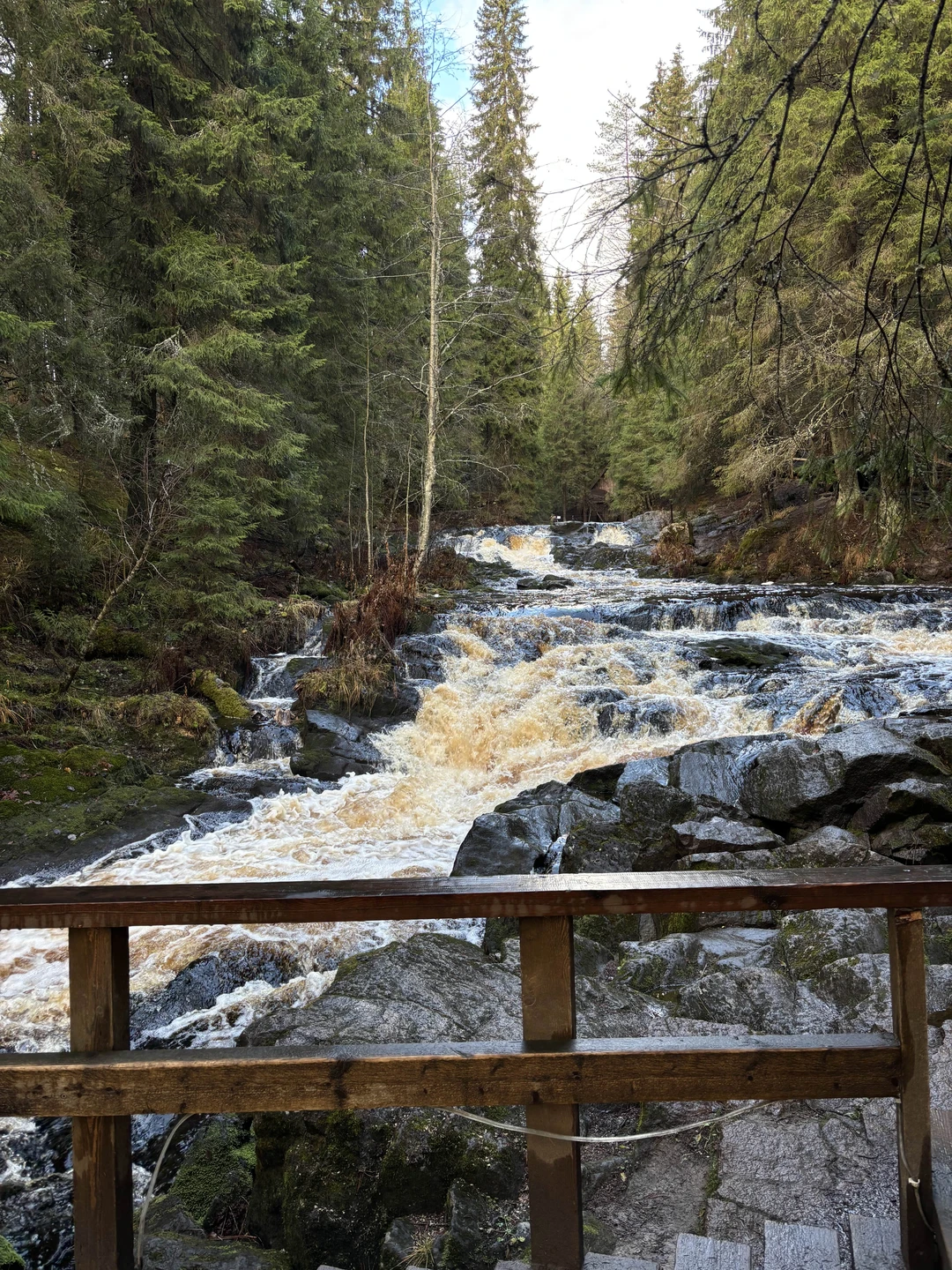 Очень интересно было послушать экскурсовода Надежду, отличная организация по таймингу, все успели посмотреть, поехала бы я