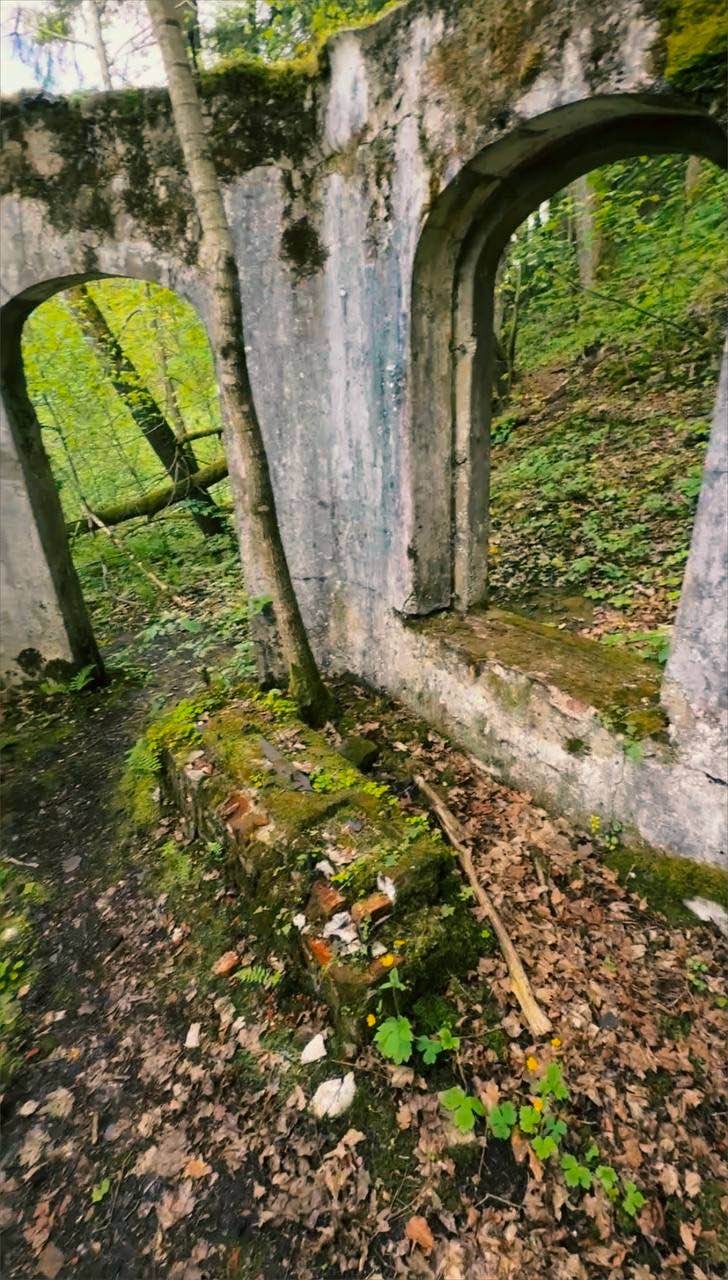 Экскурсия по востоку Калининградской области оказалась для нас настоящим открытием. Сложно поверить, что в пределах одной