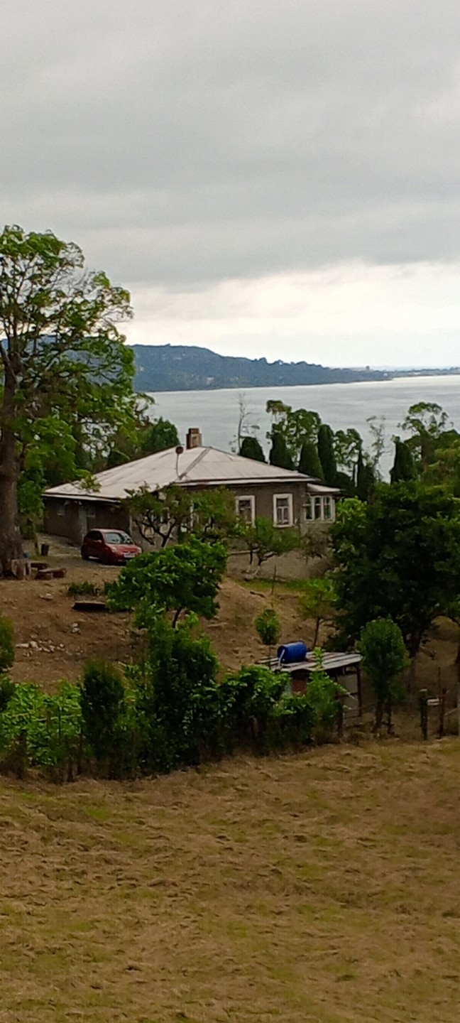 Гагра, Рица, Новый Афон и мандариновый сад: групповая поездка из Адлера (Александра)