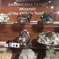 Фото отзыва 2: экскурсия "Кировск и Хибины — сокровища Кольского полуострова"