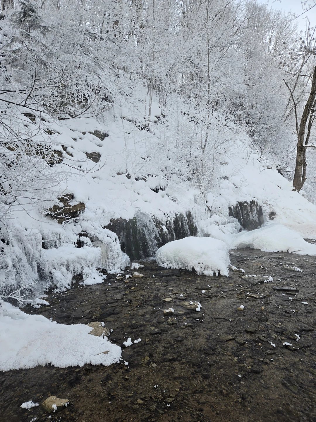 Автобусная экскурсия из Пскова в Изборск и Печоры (Ирина)