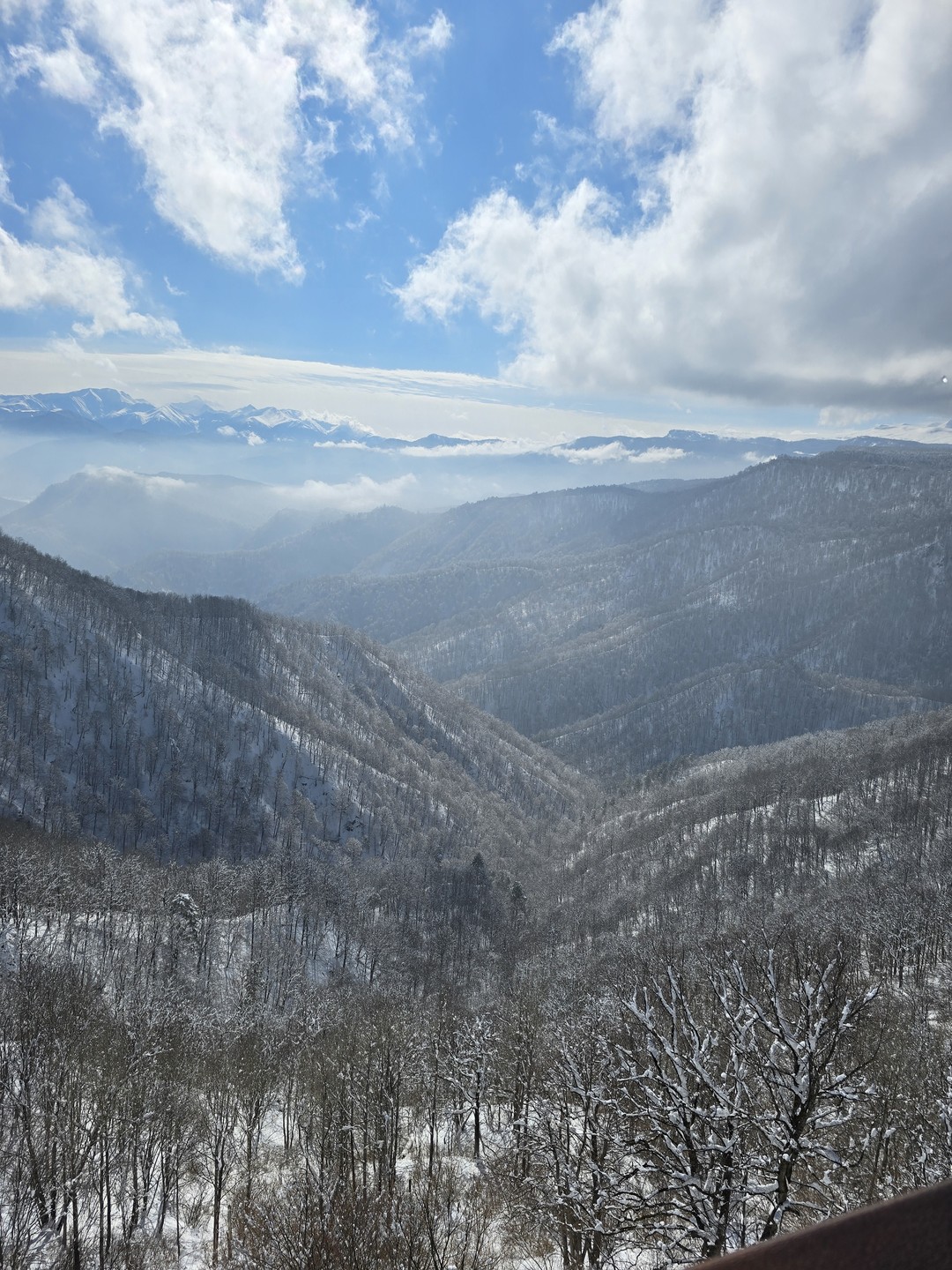 Мария, самый лучший экскурсовод