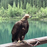 Отзыв о экскурсии "Природа Казахстана: 5 лучших мест за 1 день из Алматы" — фото 3