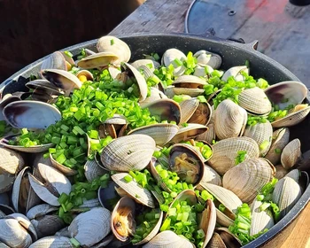 Гастрономическое путешествие в лагуну Буссе