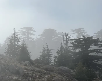 Огни Химеры и дорога к морю