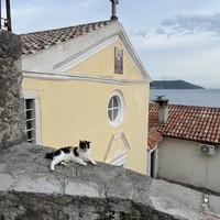 reviews img