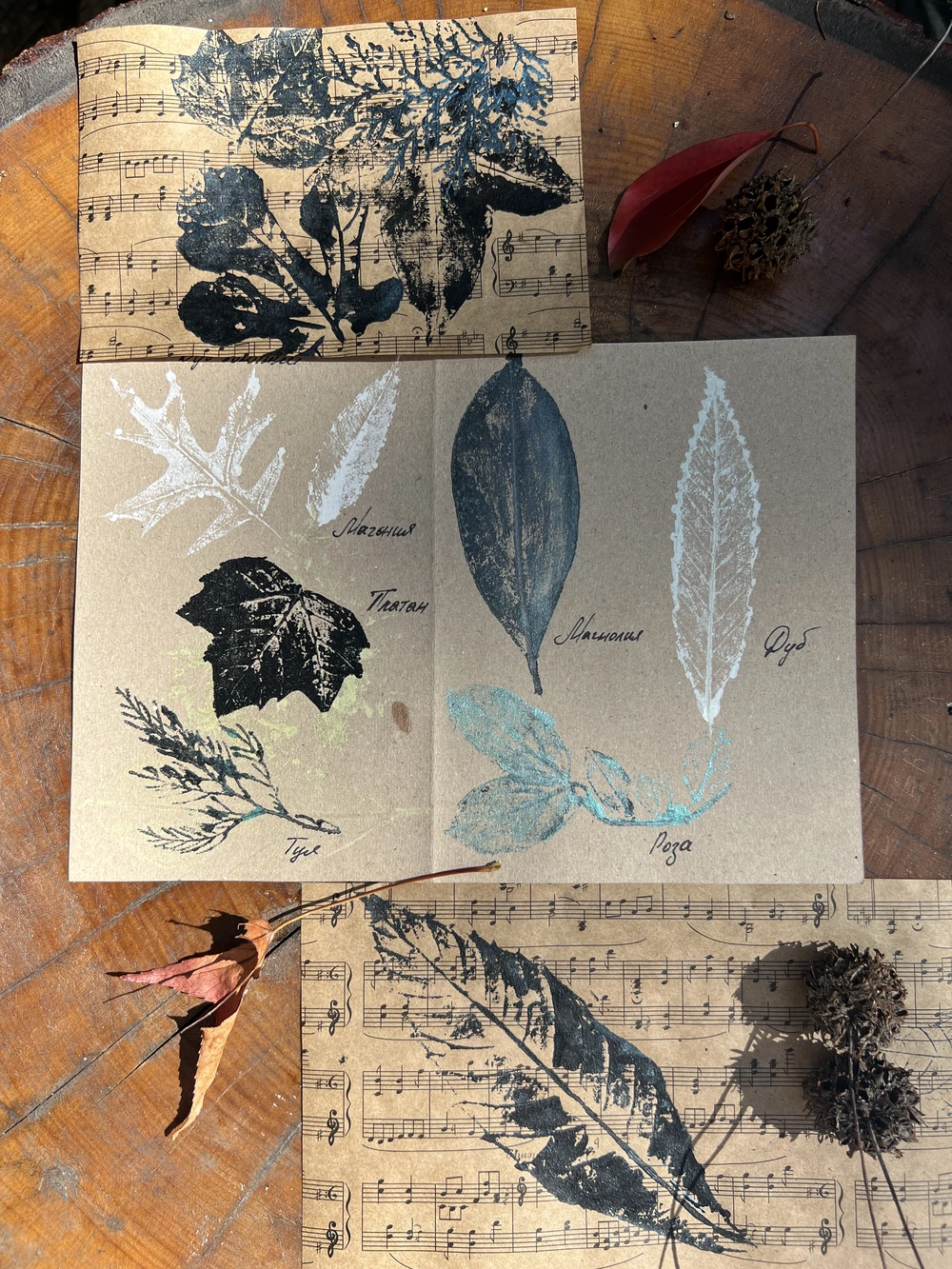 Мастер-класс по монопечати растений в Сочи (18/18)