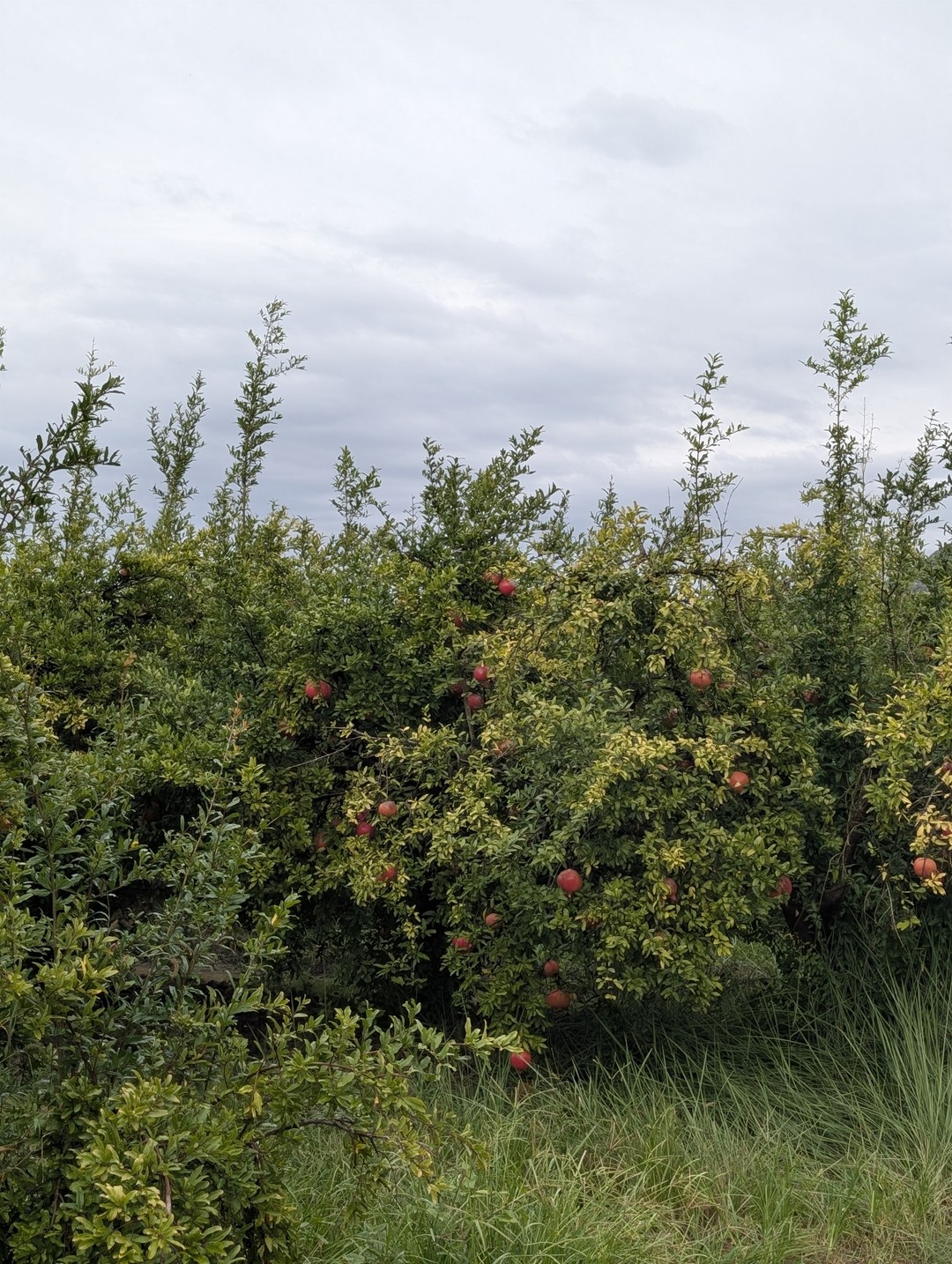 Благодарим за экскурсию, отмечали мой день рождения на лодке, а перед этим были на источниках. Ловили