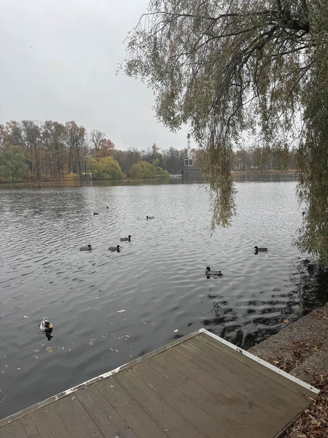 Царское село: Екатерининский дворец и янтарная комната (всё включено) (Ксения)