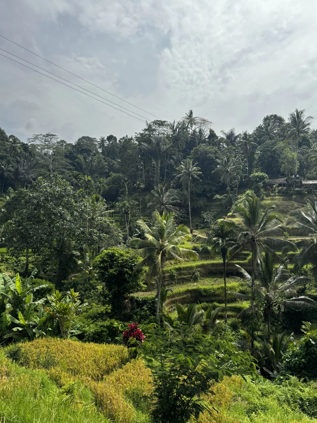 Очень понравится гид Ваян, дружелюбный, рассказывает всё понятно, фотографирует)