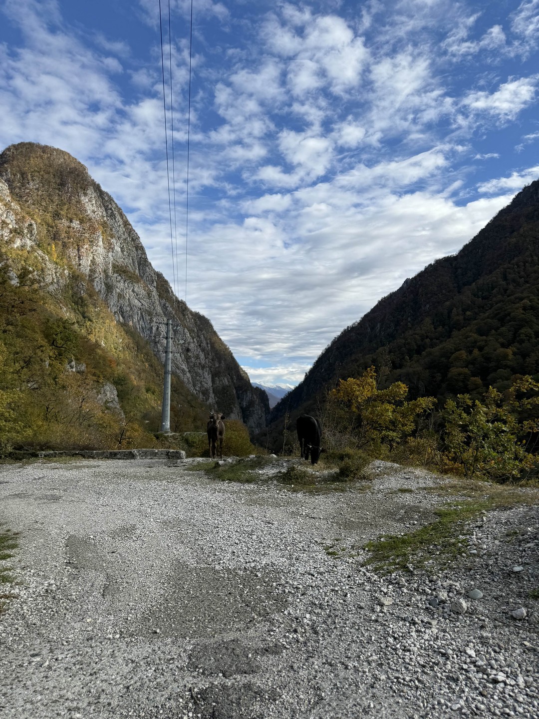 Отличная экскурсия,Наталья учла пожелания всей семьи,увлекательно и подробно рассказала о достопримечательностях Красной Поляны, чётко объяснила, чем