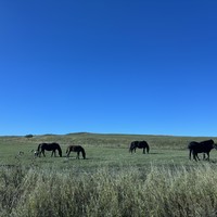 reviews img