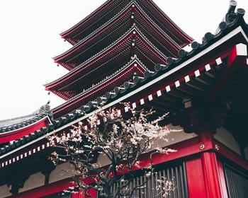 Первая встреча с Киото