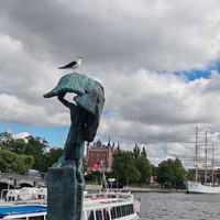 Фото путешественника — 3