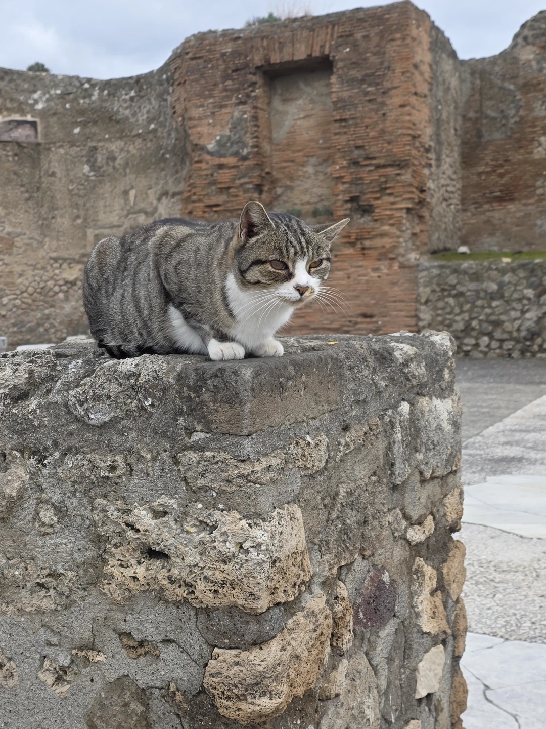 Оказались на несколько дней семьёй в Неаполе. Был один день на экскурсию. Всем хотелось увидеть и
