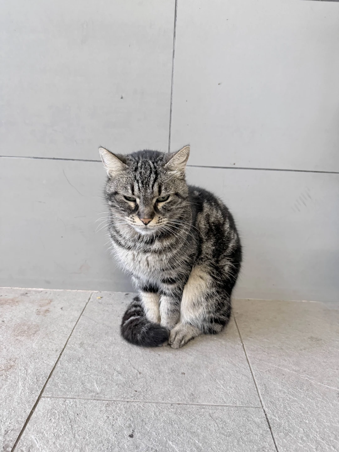 Прекрасная экскурсия! Очень рекомендую😀