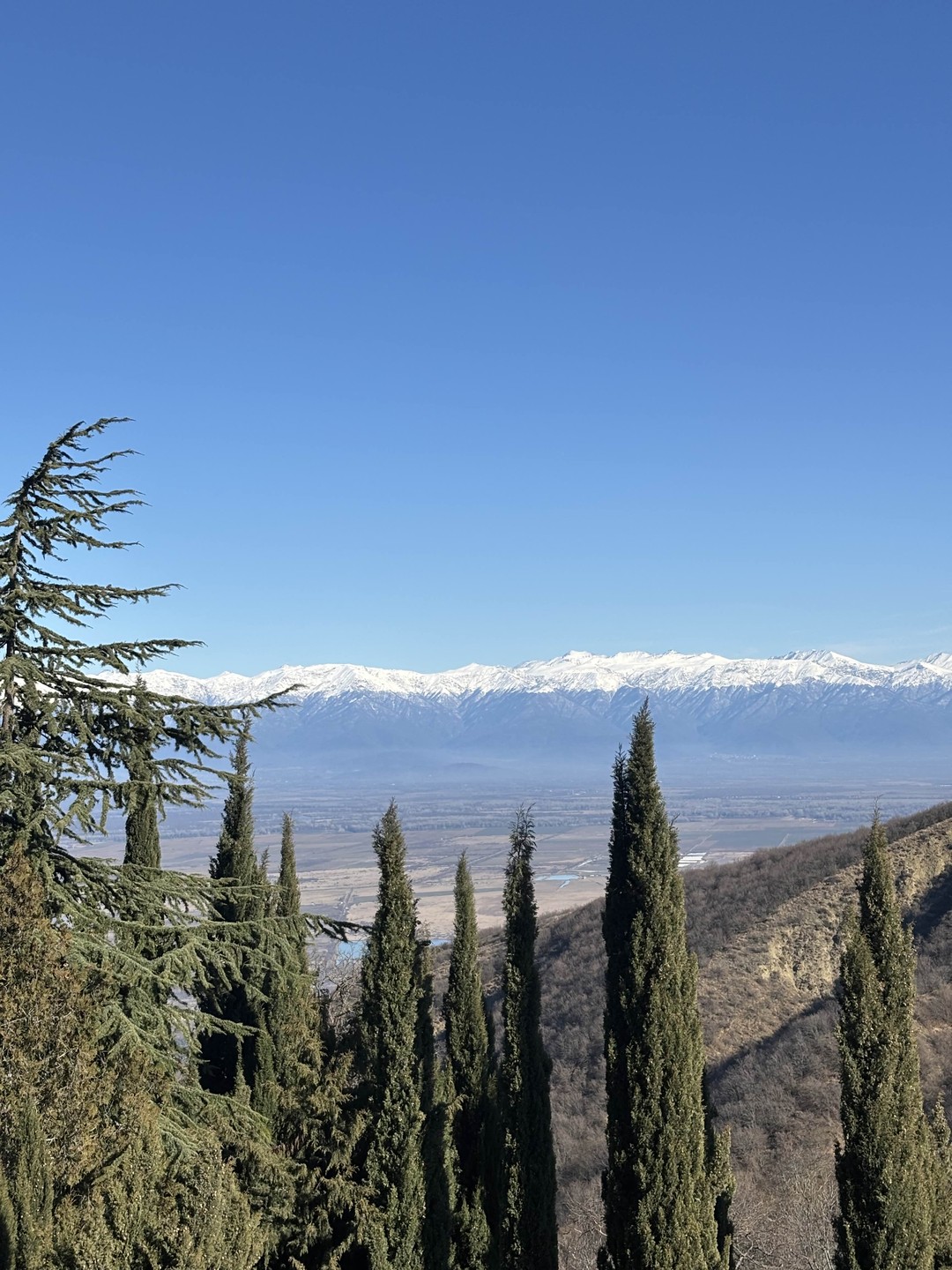 Изысканные вкусы Кахетии: из Тбилиси - в винные места (в группе) (Диана)