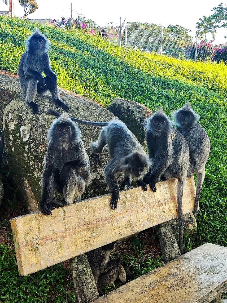 Вчера были на экскурсии с гидом Марьям. Двое взрослых и ребенок (10 лет). Отлично провели время!