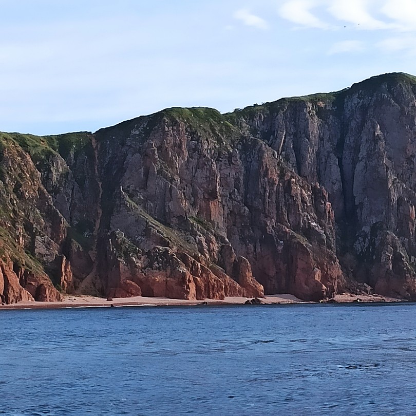 Морское приключение во Владивостоке: мыс Тобизина, котики и морепродукты (Елена)
