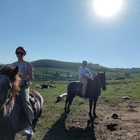 Фото отзыва 1: экскурсия "Выйду в луг и рощу с конём"