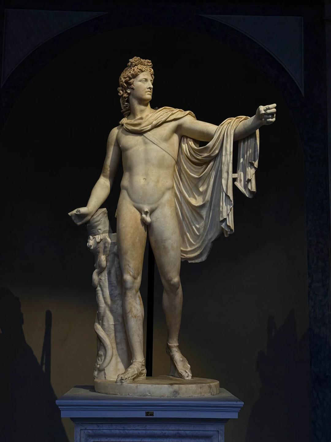 Нелли супер гид! Взяли у неё 2 экскурсии - Колизей и Ватикан. Не пожелали ни на