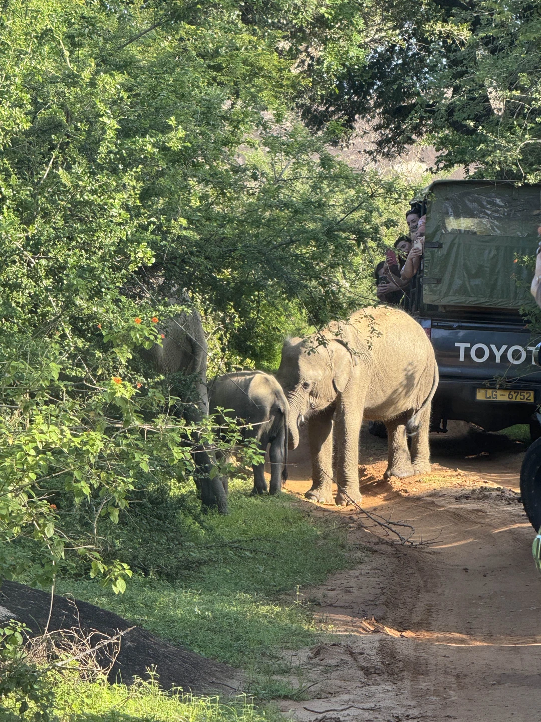 Все было прекрасно, гид хороший, успели везде, рекомендую)