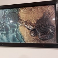 reviews img