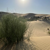 Фото отзыва 3: экскурсия "2 в 1: Сулакский каньон и бархан Сарыкум из Махачкалы"