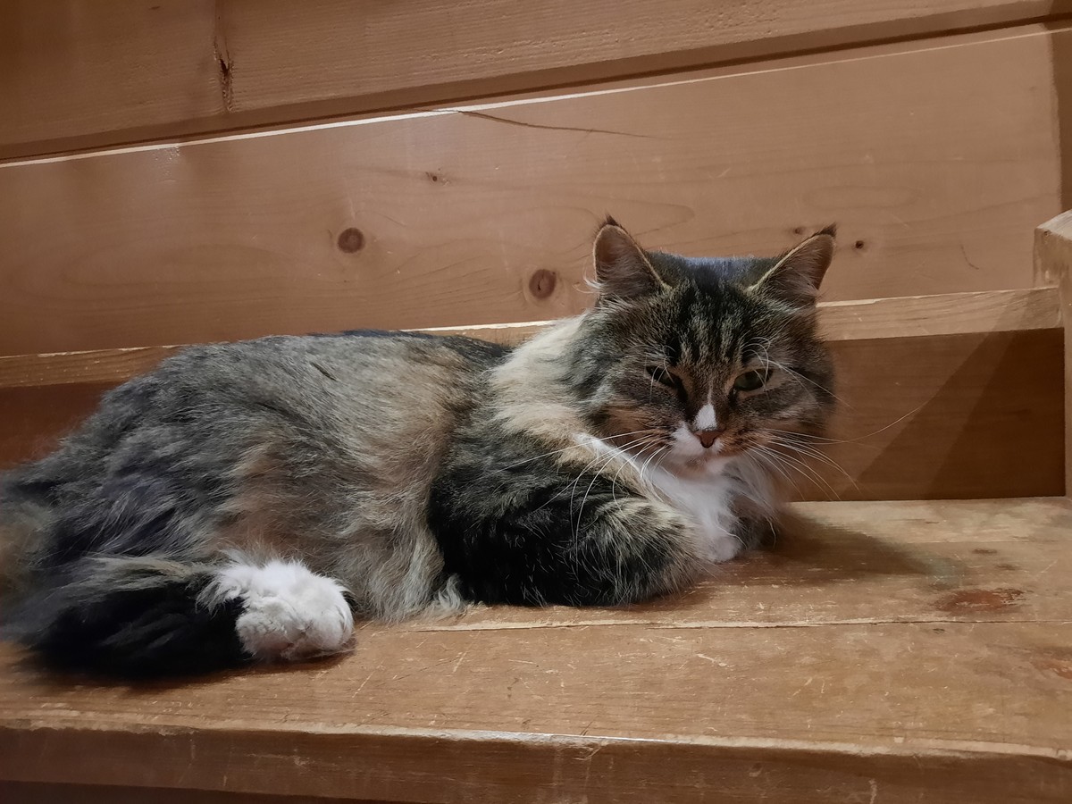 Шедевры Русского Севера в усадьбе Богословка (9/15)