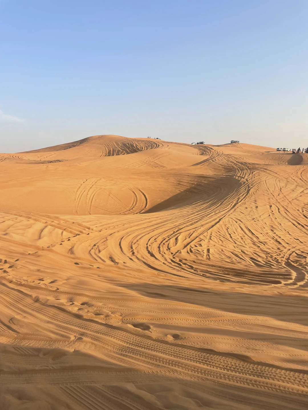 Водитель приехал вовремя, покатались по красивой пустыне на закате, затем, поехали в деревню, посмотрели шоу, бесплатно