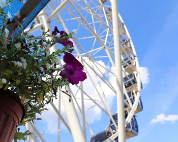 Экскурсия по Владимиру и церковь Покрова на Нерли