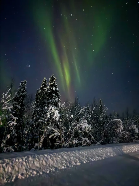 В погоню за полярным сиянием (Владлена)