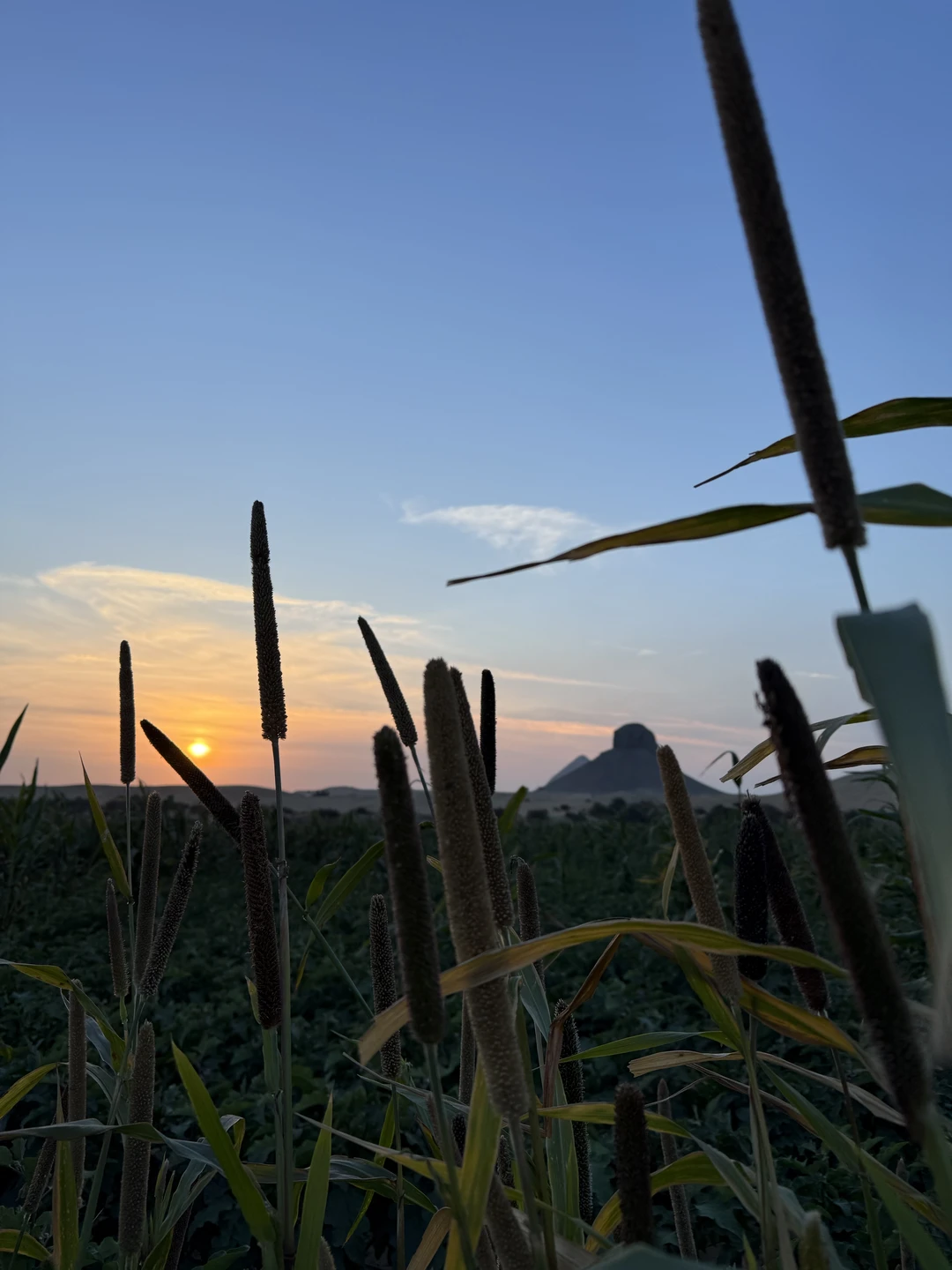 Хотим поблагодарить нашего гида Махмуда за проведенную экскурсию. Нам удалось прикоснуться к уникальным пирамидам Саккара и