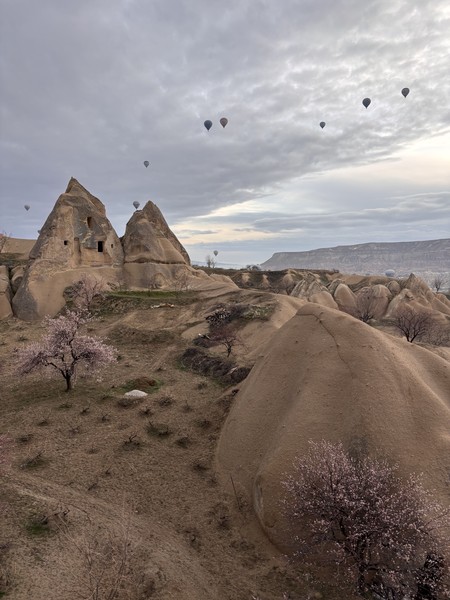 Это супер! Мечта сбылась! Организация на высшем уровне, с отеля забрали и привезли, на шаре полетали