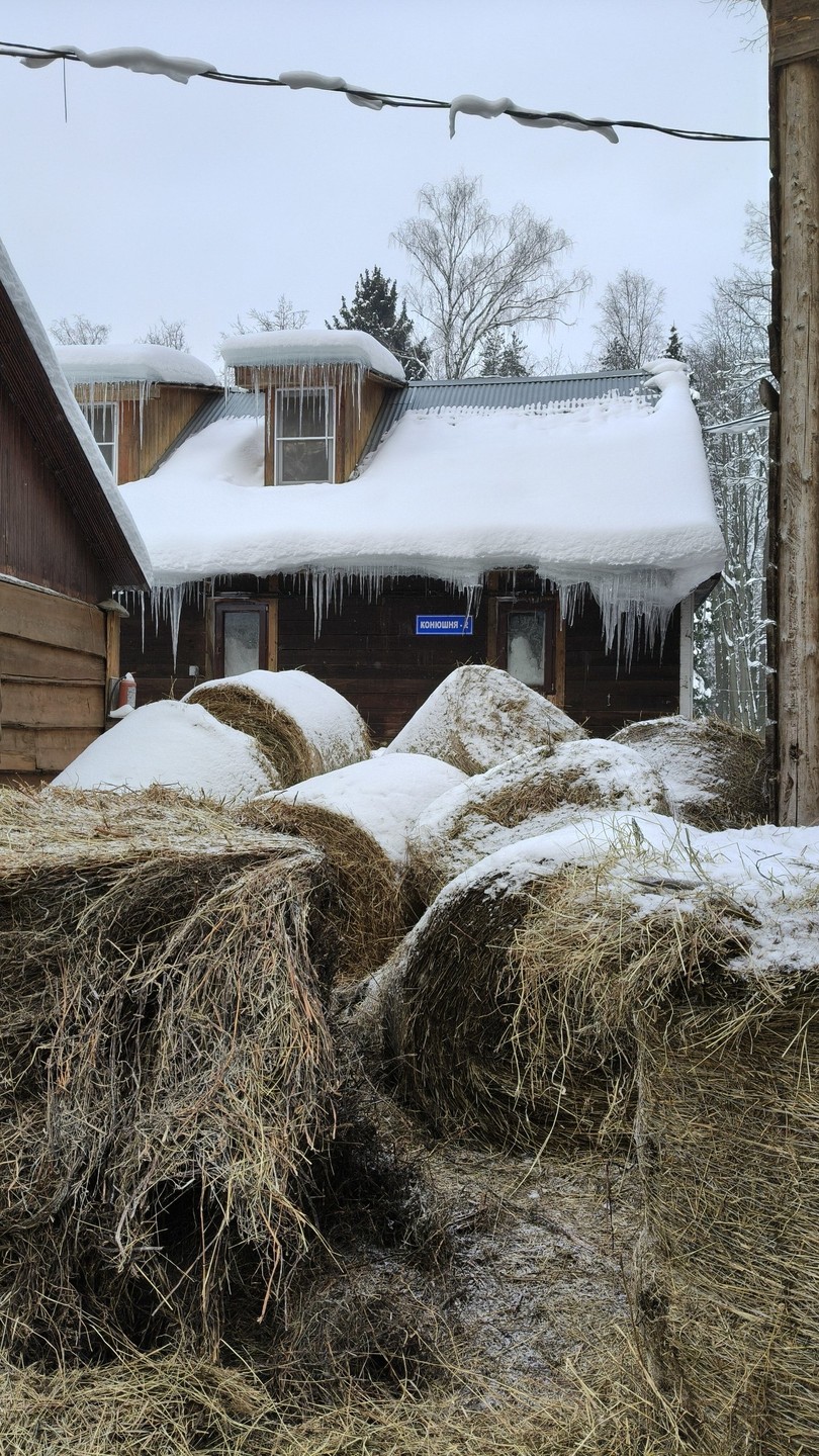 Василиса-прекрасный рассказчик, вовлекающий в чудный мир коней! Столько всего о лошадях я никогда в жизни не слышал. Было весьма интересно