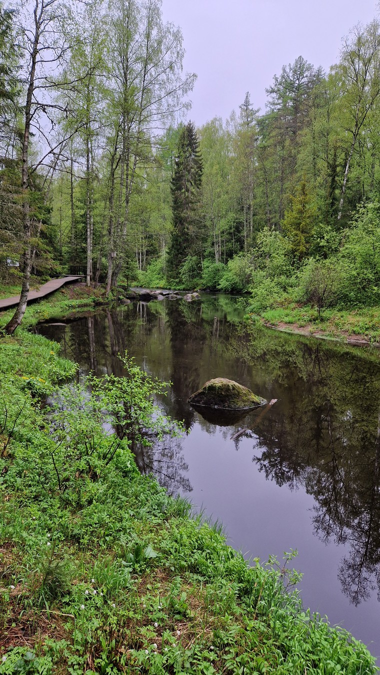 За рассветом в Линдуловскую рощу — из Питера (12/13)