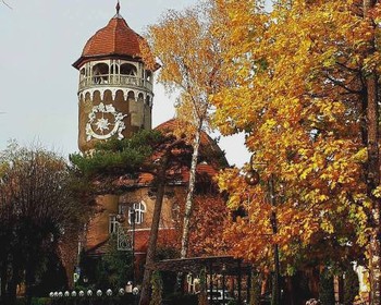 Балтийские курорты: Зеленоградск, Светлогорск, Янтарный