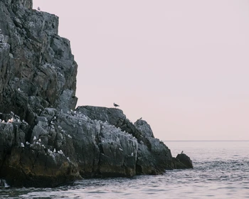 Командорские острова