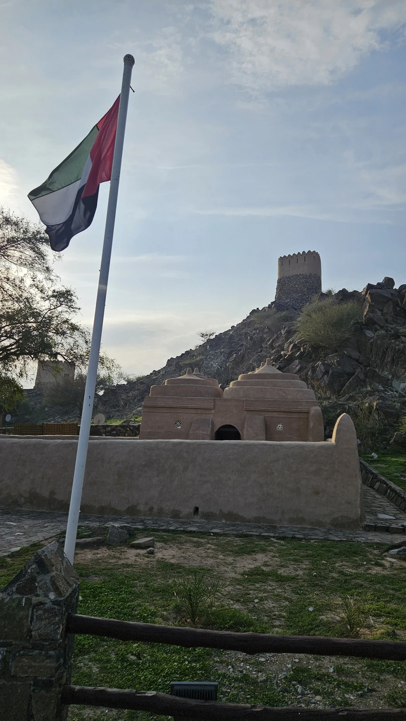 Очень понравилась экскурсия! В комфортном темпе, интересные места. Посмотрели настоящие Эмираты, пообедали и отдохнули на побережье