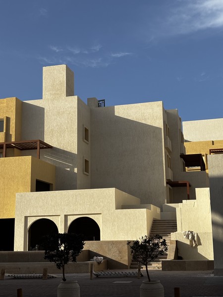 Замечательная прогулка с гидом Екатериной! Красивая локация, успели застать как светлое время суток, так и закат