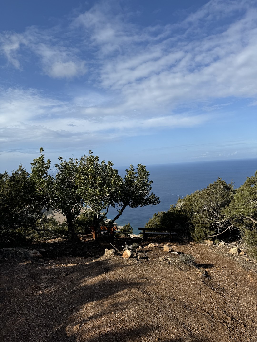 Провела отличный день на экскурсии по заповедному Кипру! У Татьяны очень приятная и красивая речь! С