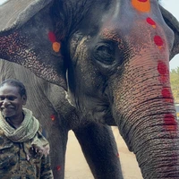 Фото отзыва 3: экскурсия "Из Гоа в затерянный Хампи на 2 дня: к руинам древней империи"