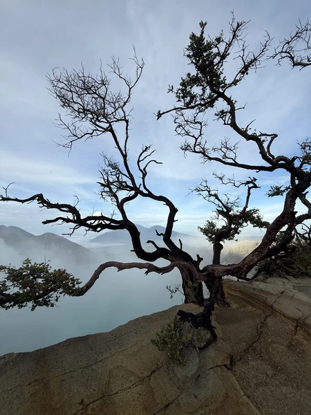 Вулкан Иджен: ночное восхождение и спуск в кратер (мини-группа) (Екатерина)
