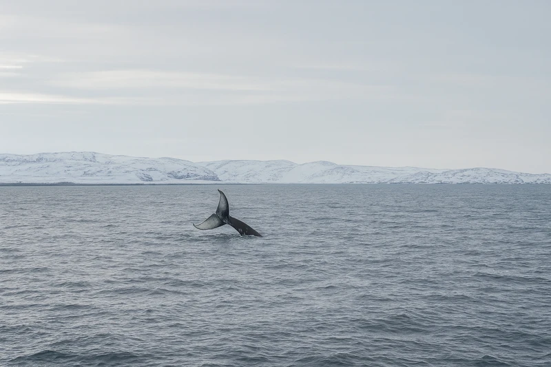 Все северные удовольствия в одном туре: на Кольский полуостров в мини-группе