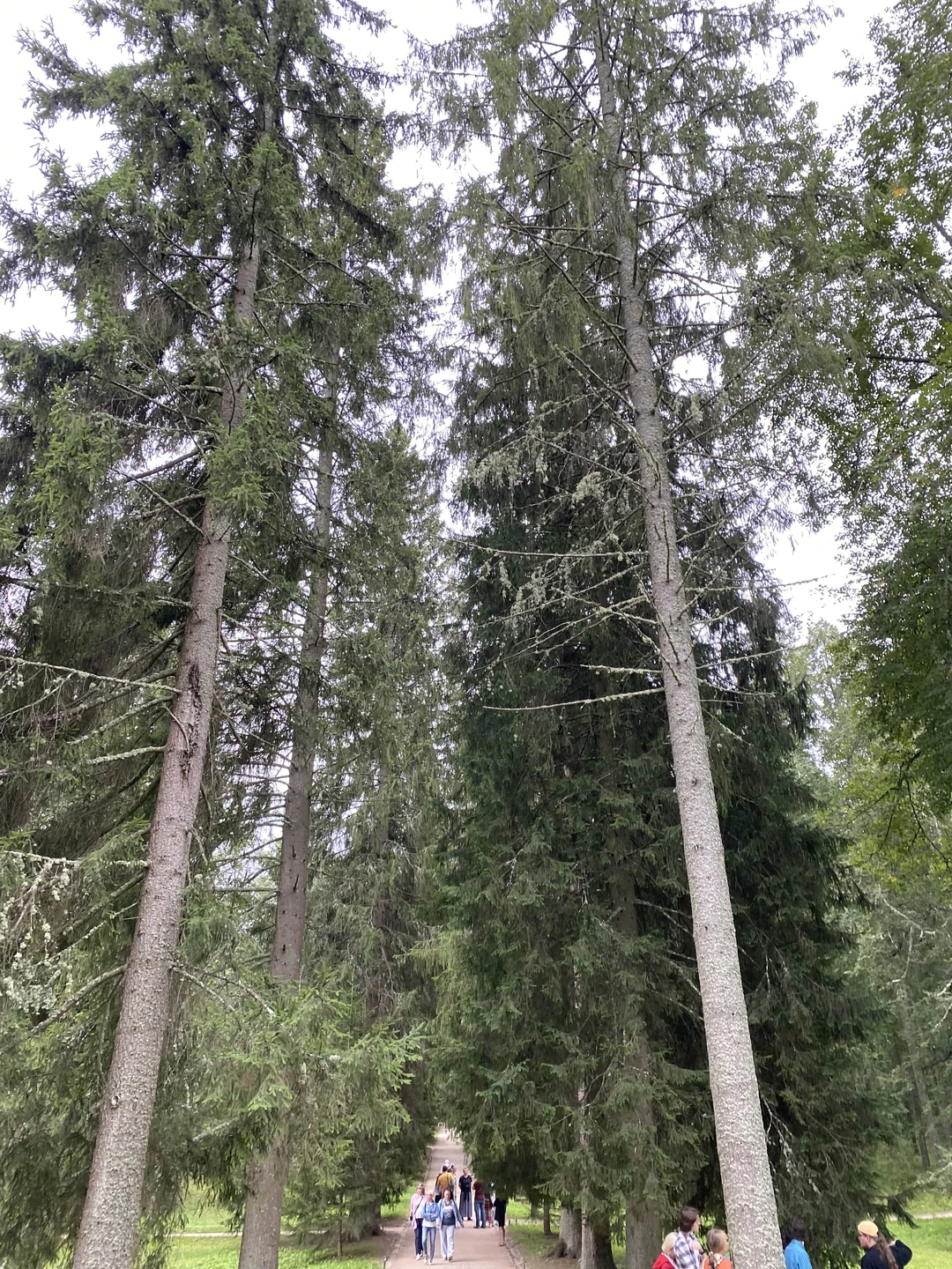 Анна замечательный экскурсовод! Прошло больше года, а мы до сих пор с теплотой вспоминаем эту удивительную