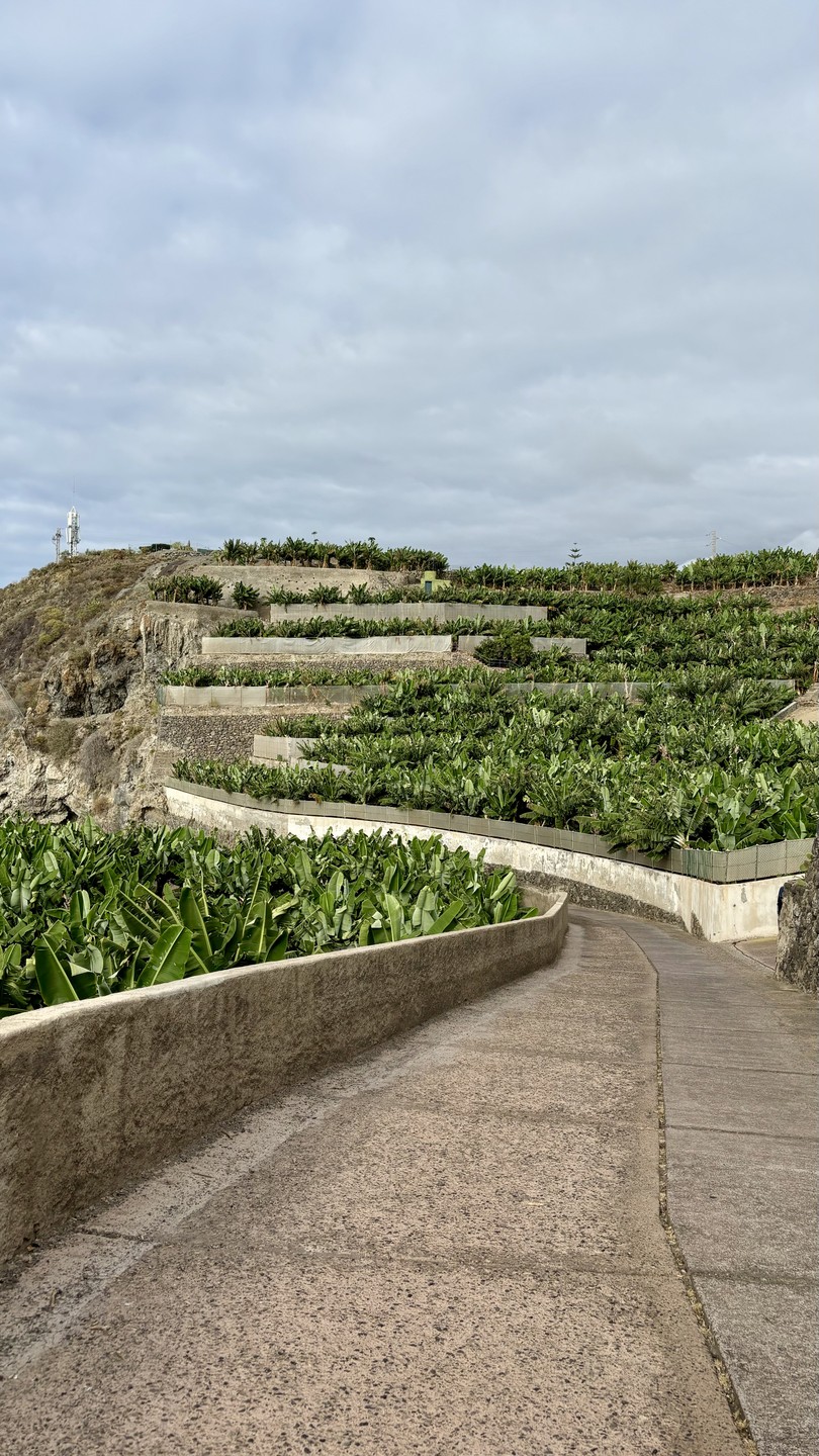 Отлично провели 3 часа на прогулке с Ольгой по чудесному Икоду - познавательно, вкусно, красиво