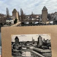 Фото отзыва 1: экскурсия "Свидание со Страсбургом"