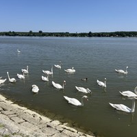 Фото отзыва 3: экскурсия "Из Белграда в Воеводину: Фрушка-Гора, Нови-Сад, Петроварадинская крепость и Сремски-Карловцы"