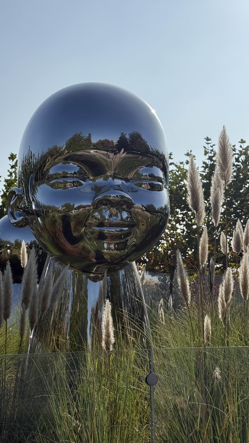 С Дмитрием было очень весело и познавательно. Хочется отметить, что он никуда не торопился и мы